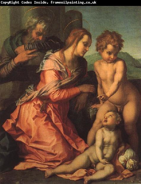 Andrea del Sarto Holy Family fgf